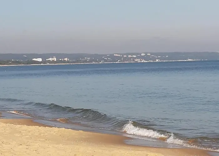 Premium 200m. Do Plazy